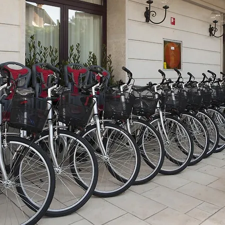 威尼斯别墅酒店 酒店 4*